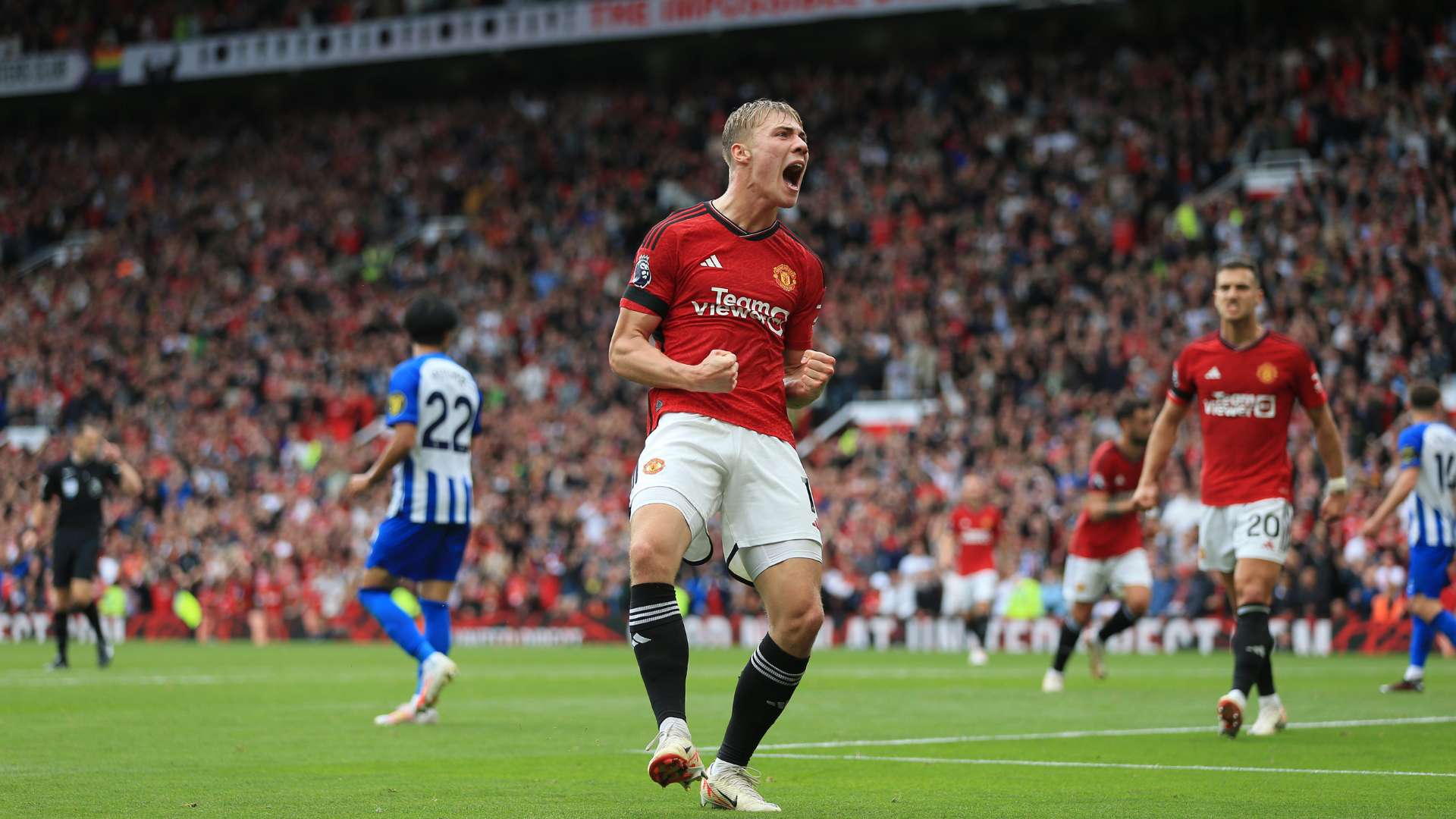 仅是增加了 仅是增加了