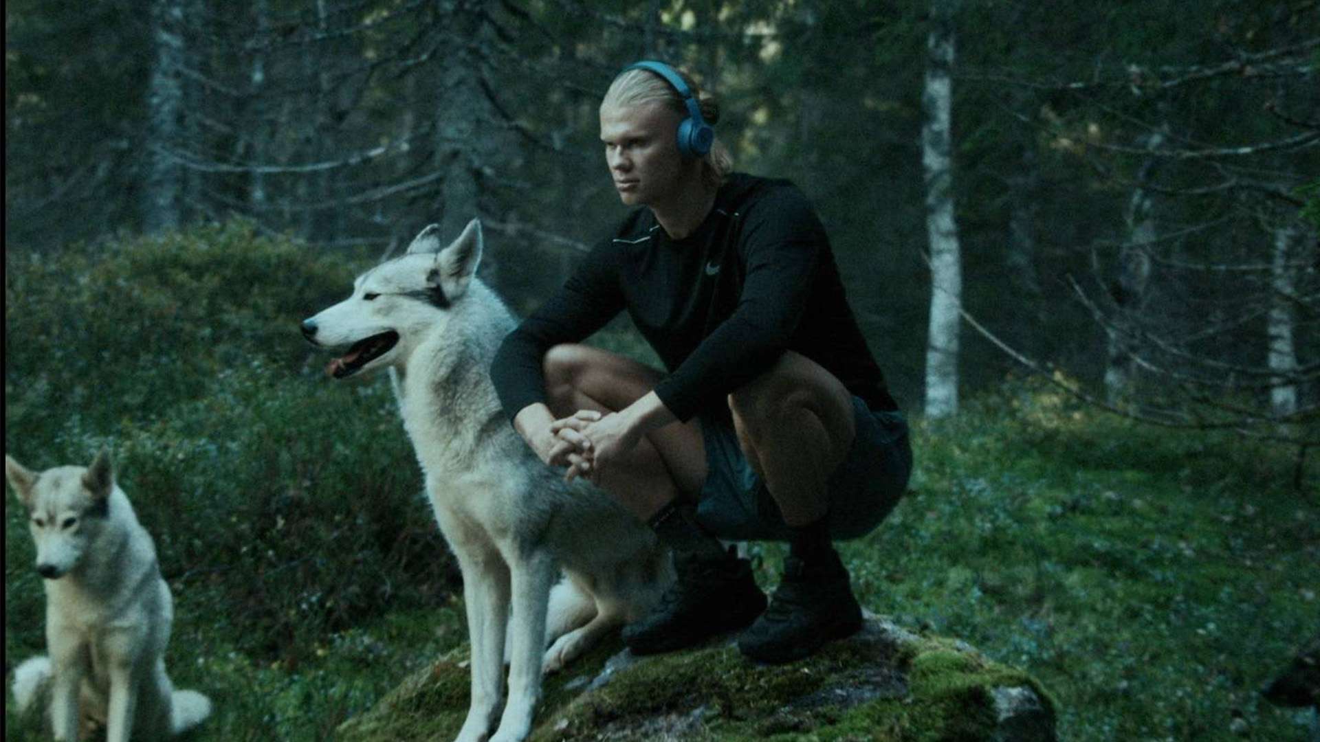 藉出色的中 藉出色的中